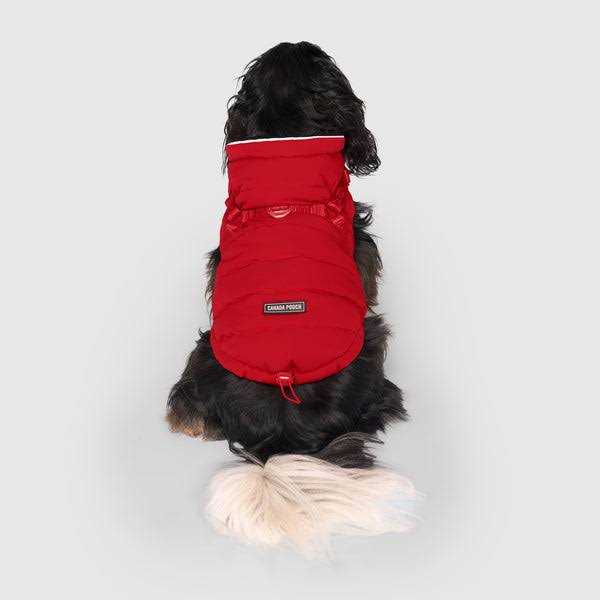 Black Puffer Harness V967