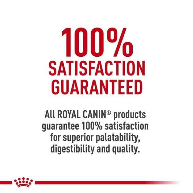 Adult Dry Cat Food Y5099
