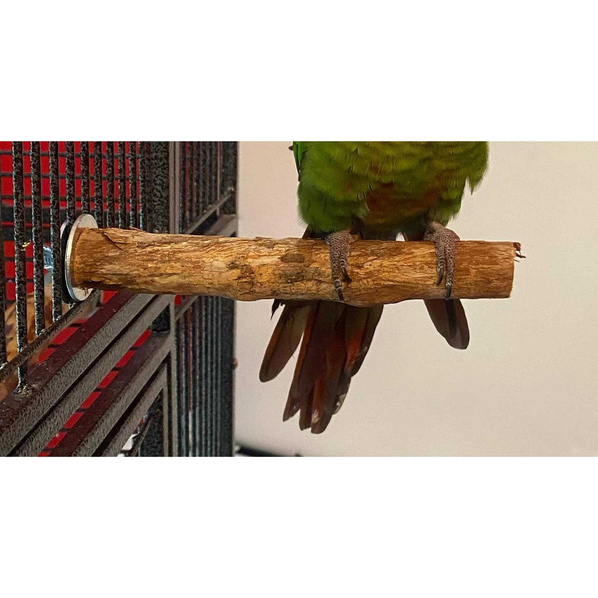 Hardwood Bird Perch X718192