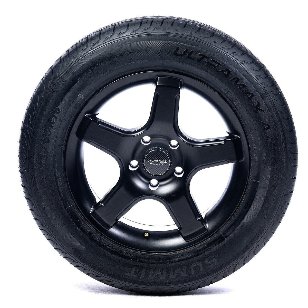 225/65R16 100H All-Season Tire E455