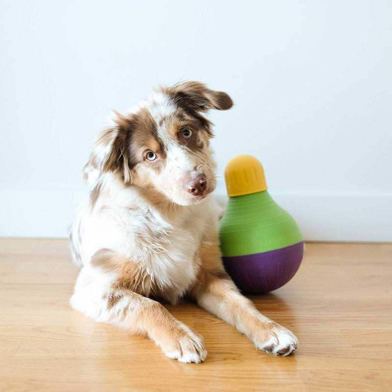 Treat Dispensing Toy S489102