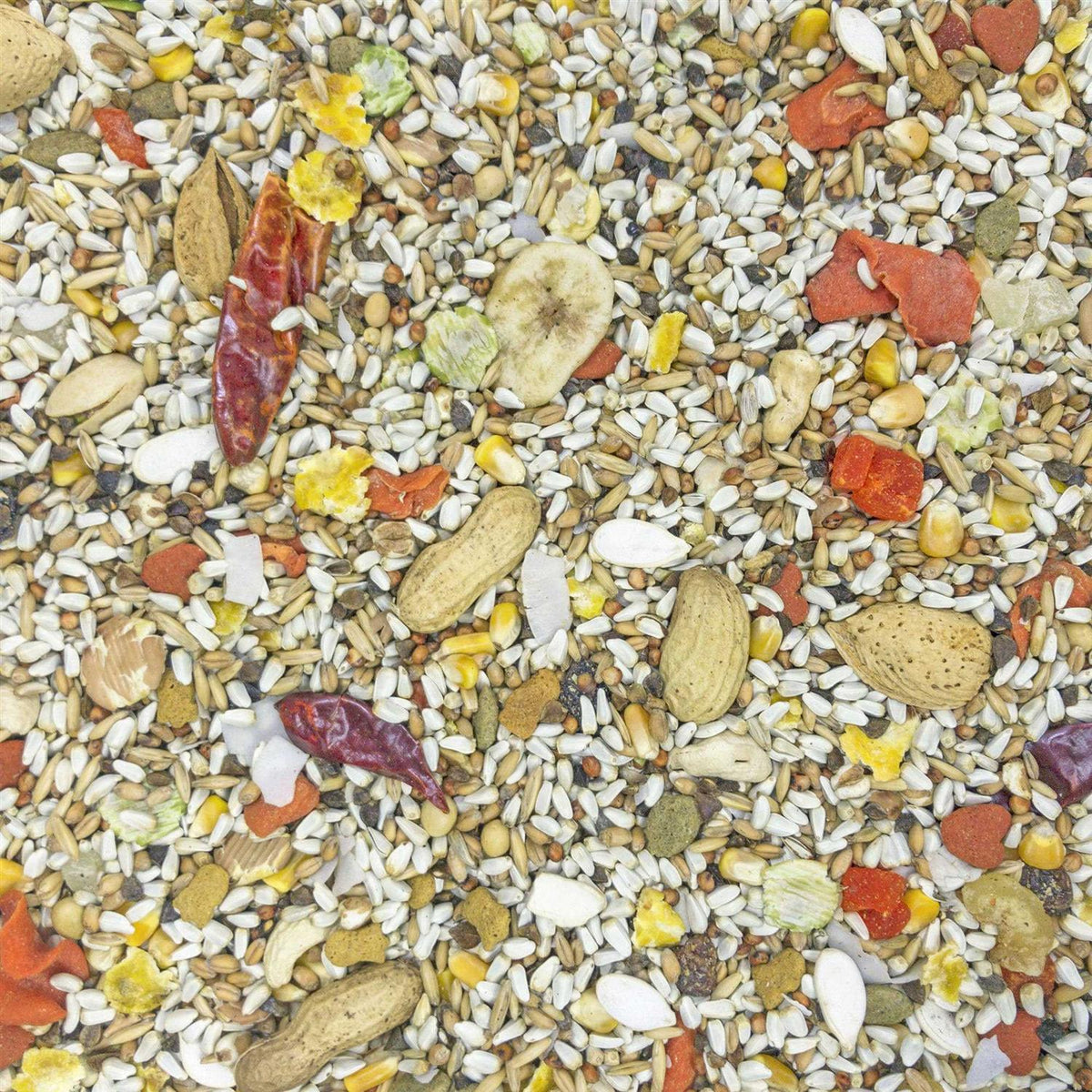 Safflower Gold Parrot Food T55047