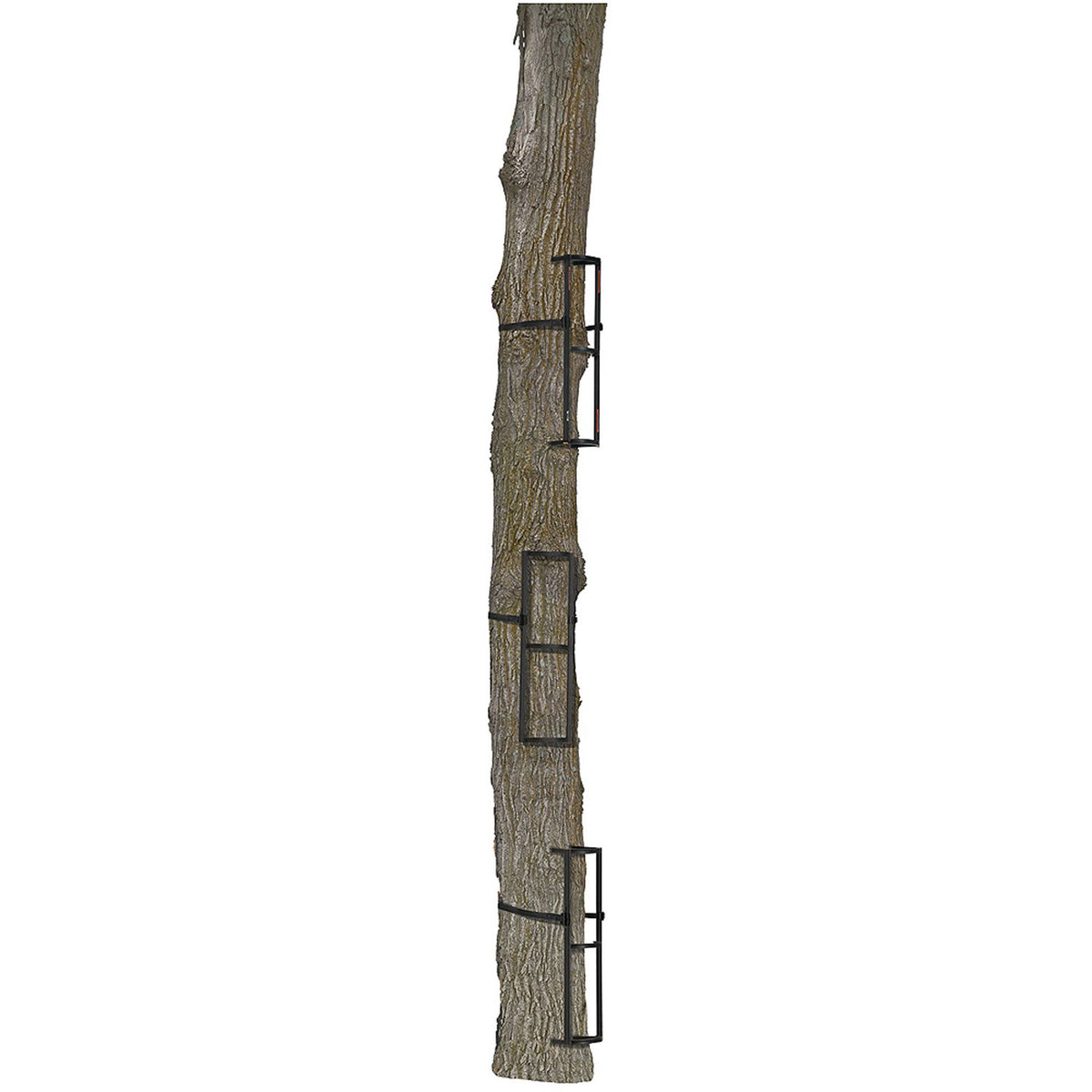 3-Pack Steps Z14037