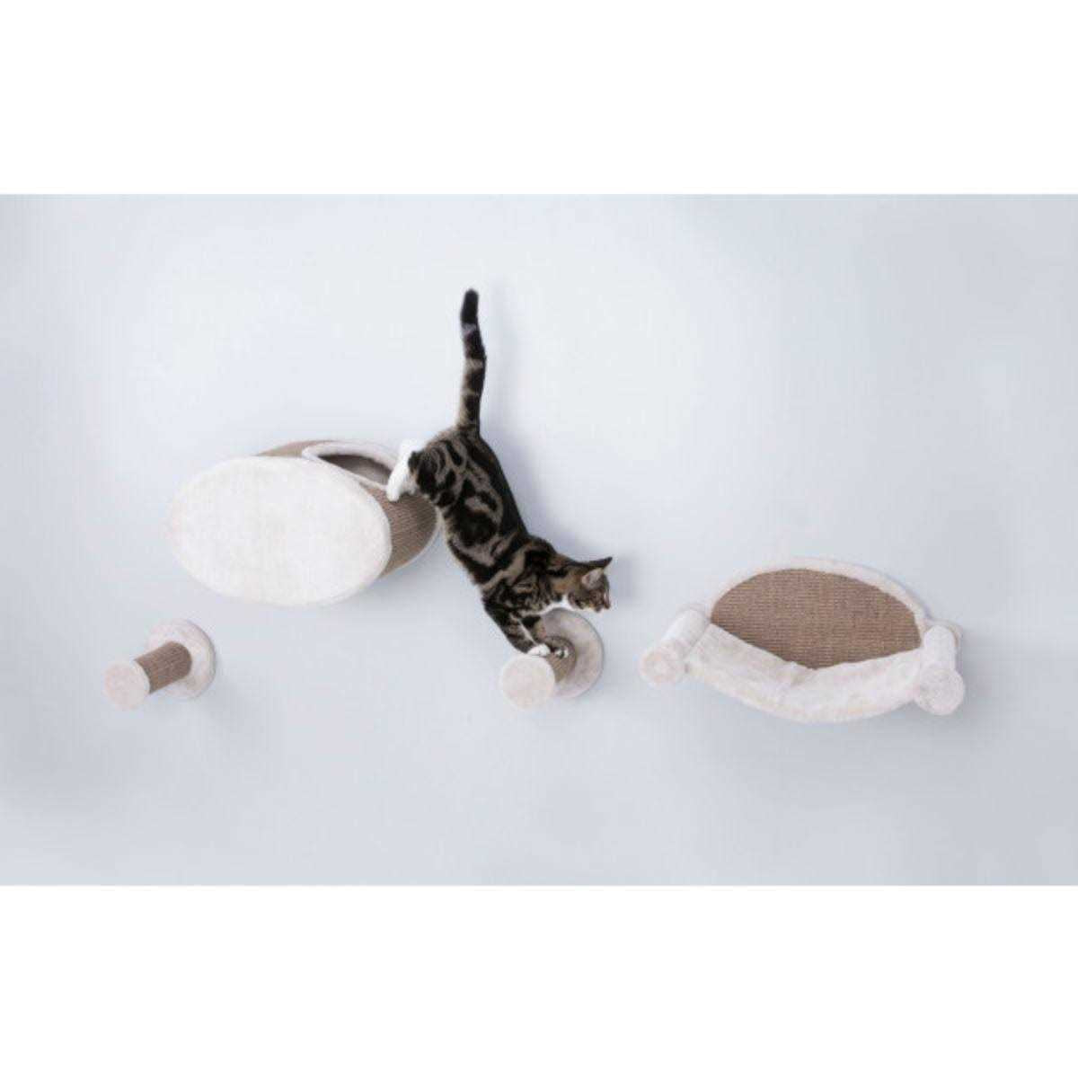 Wall Mounted Cat Lounge Set Hammock and Condo with Two Steps L333900