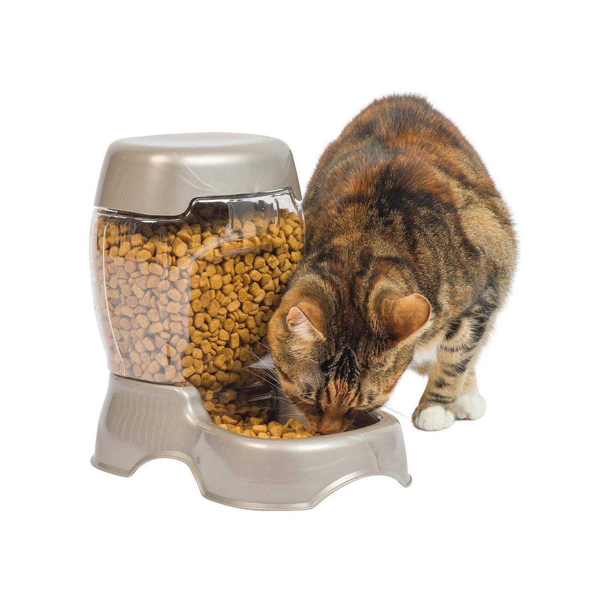 Pet Feeder C173373