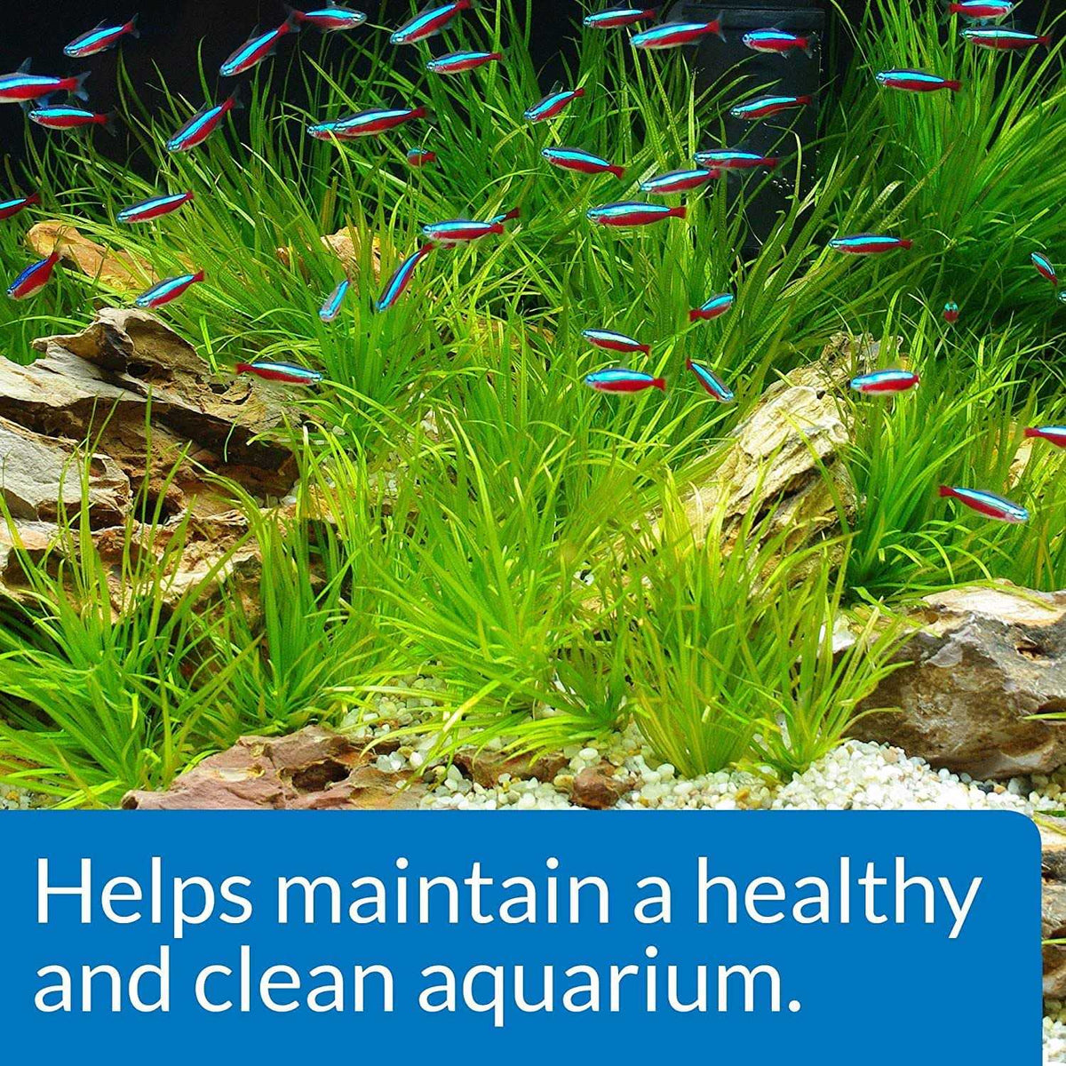 Aquarium Start Up Pack Z729