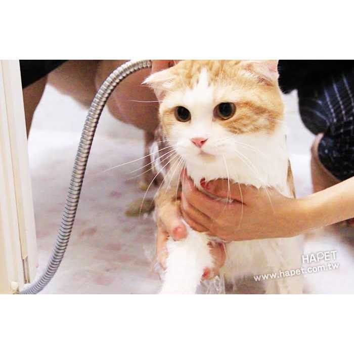Pet Shampoo Y231016