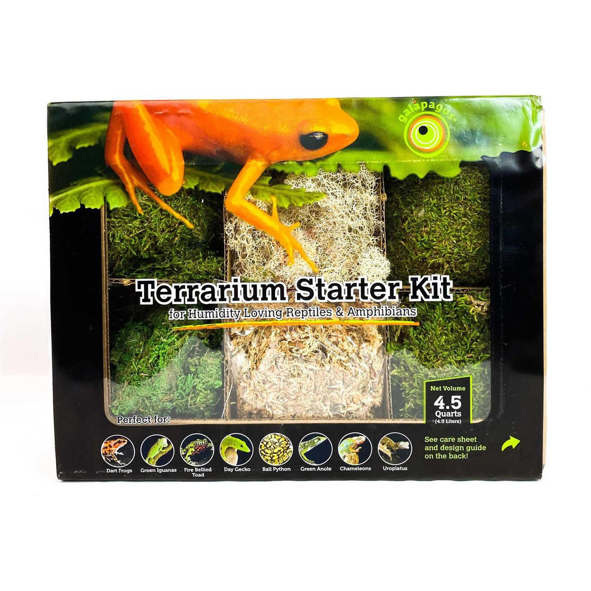 Terrarium Starter Kit Q257907