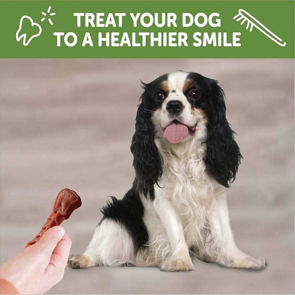 Dental Treats H4752
