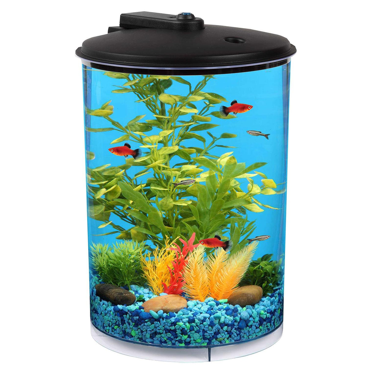 3-Gallon Aquarium with LED Lighting and Power Filter T7547