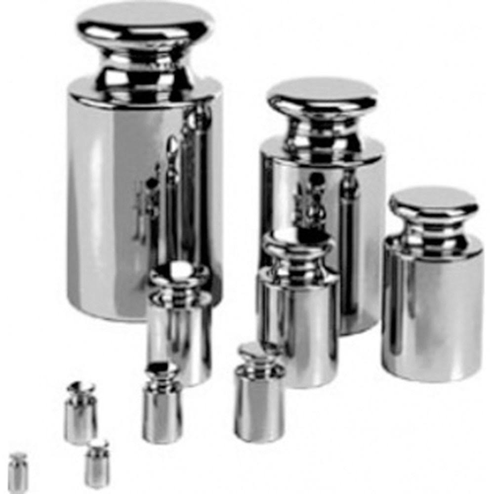 100g Stainless Steel ASTM Class 2 Calibration Weight R844