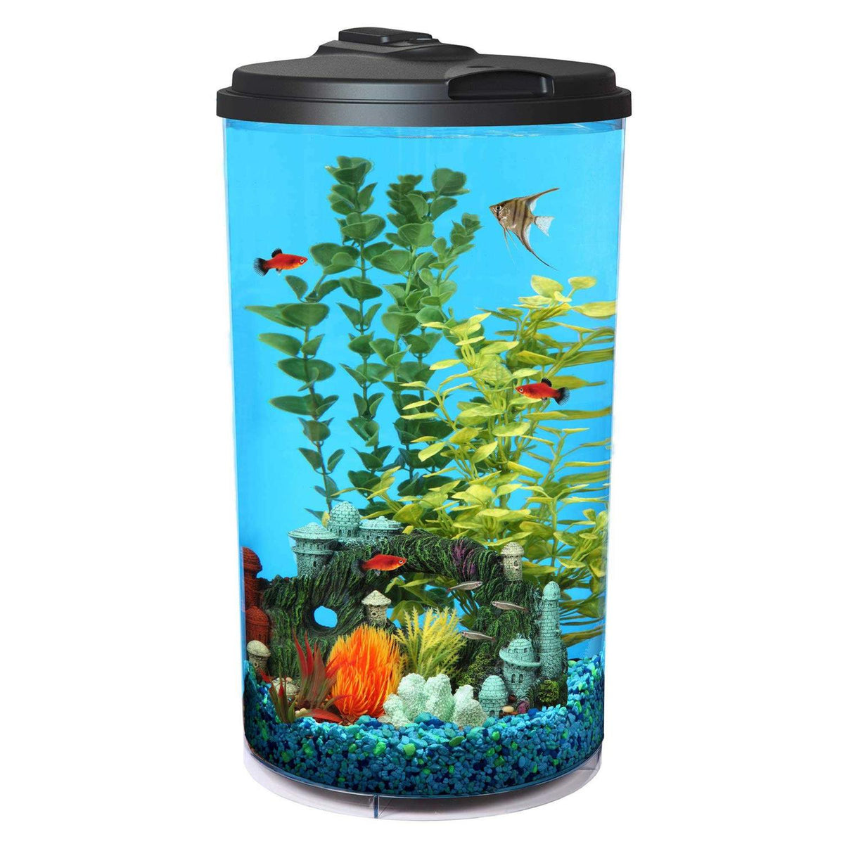 Aquarium Starter Kit X385267