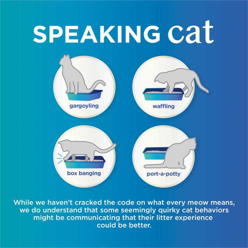 Scented Clumping Cat Litter H269406
