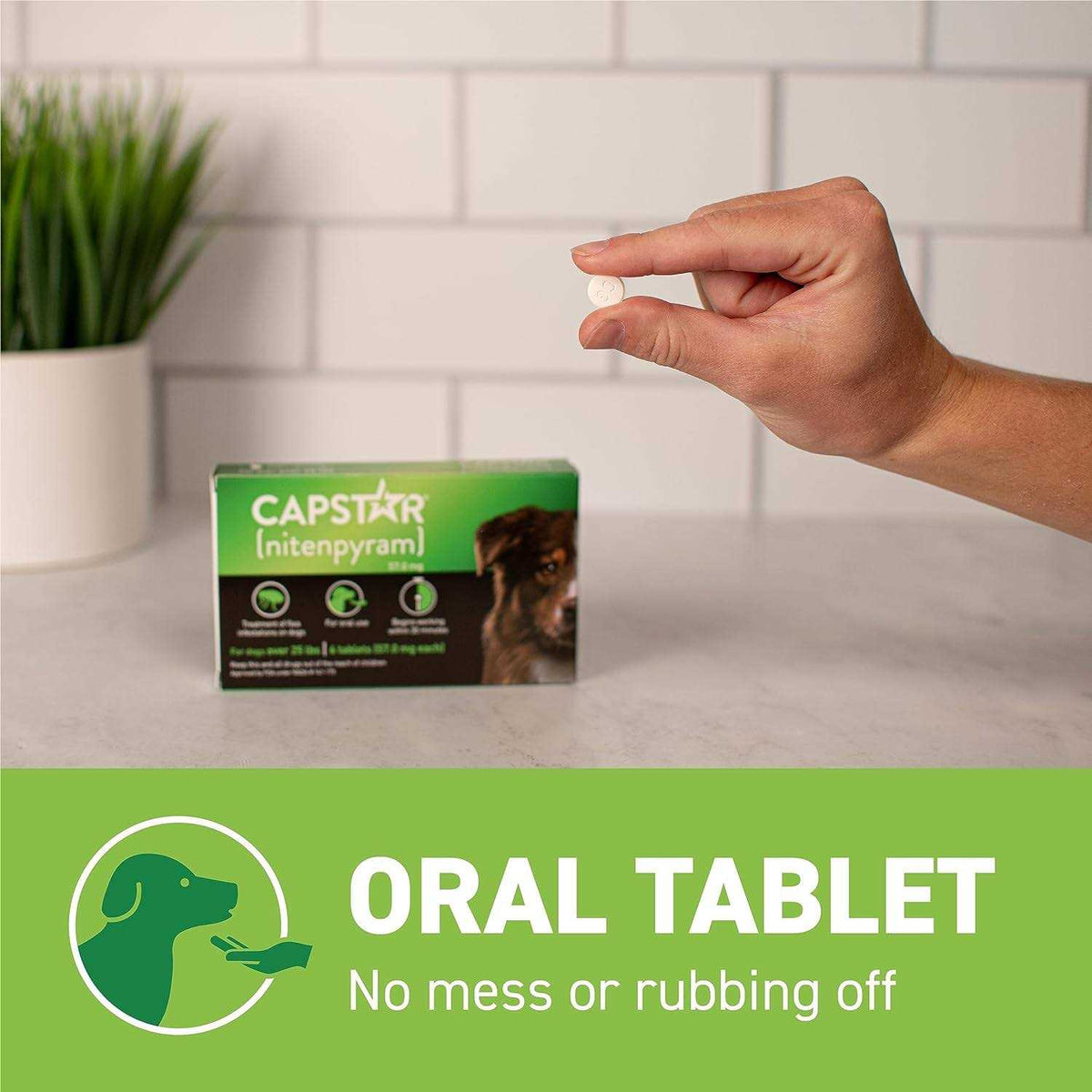 Flea Tablets for Dogs B1331