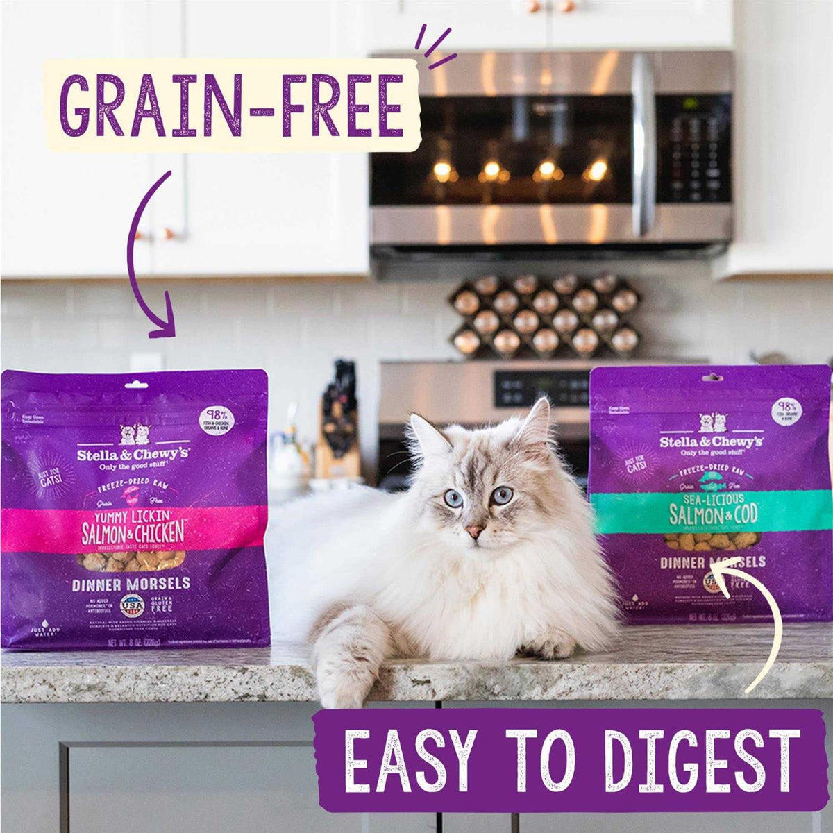 Salmon Chicken Freeze-Dried Cat Food M804