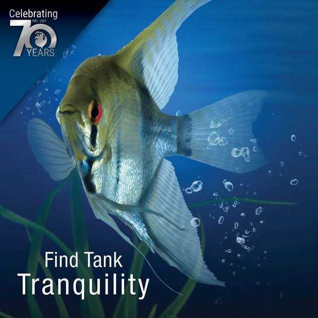 Water Clarifier Z419852