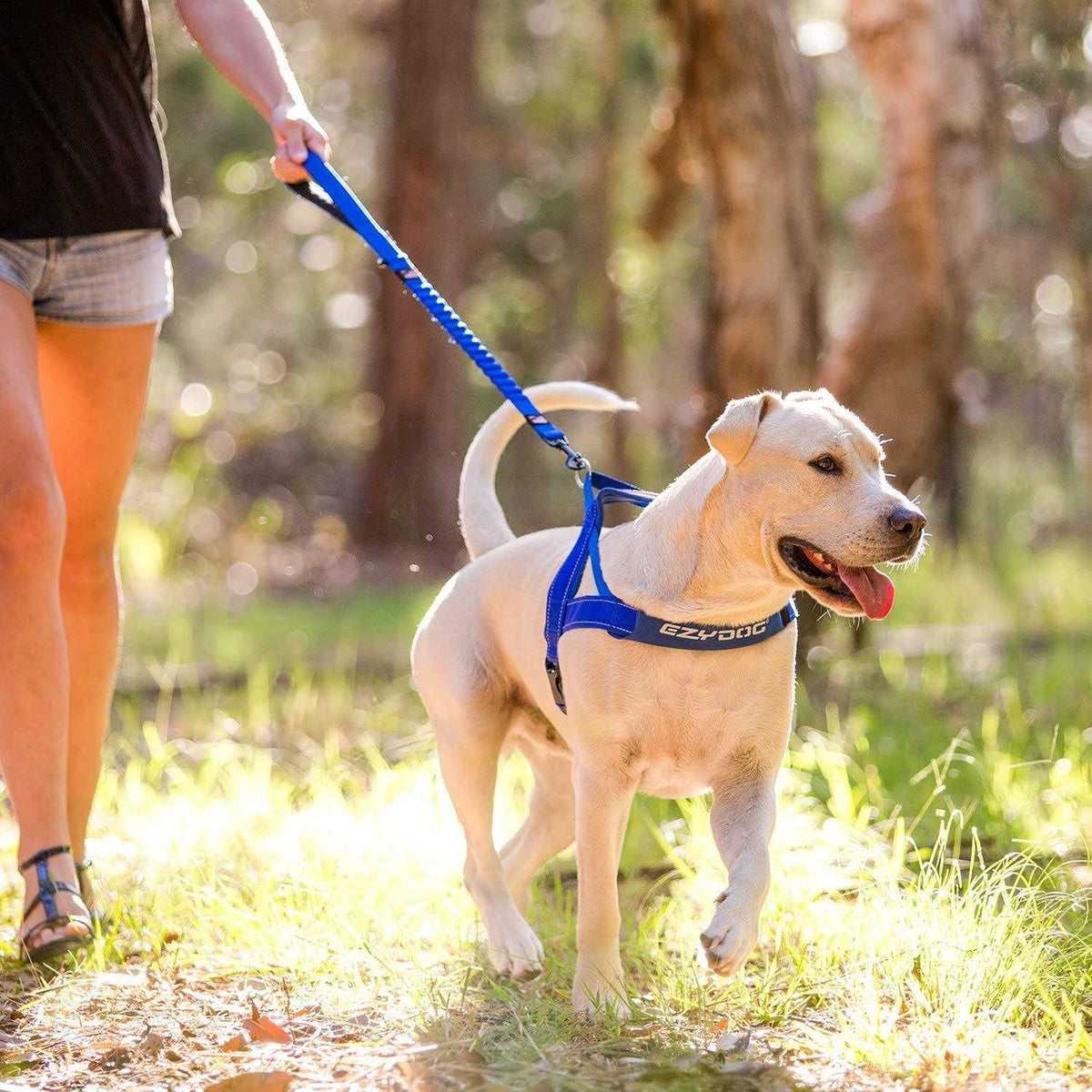 Zero Shock Dog Leash W771754
