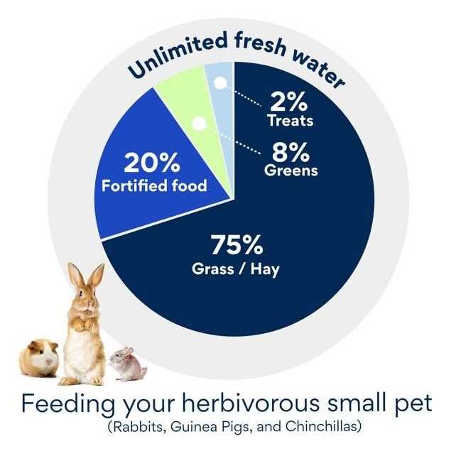 Adult Rabbit Food C271523