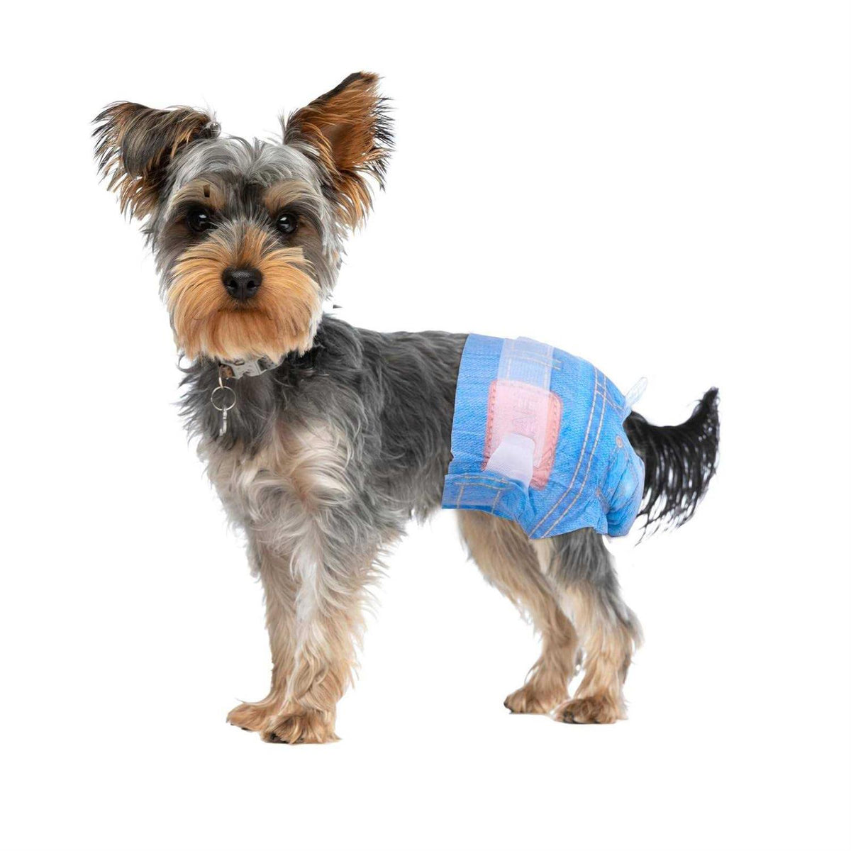Soft Female Disposable Dog Diapers Y8295