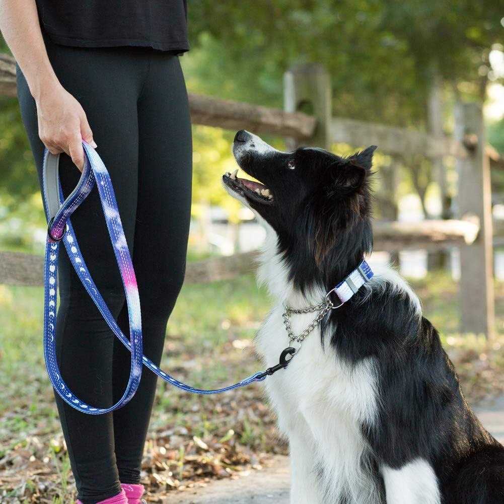 Patterned Reflective Chain Martingale Dog Collar P9404