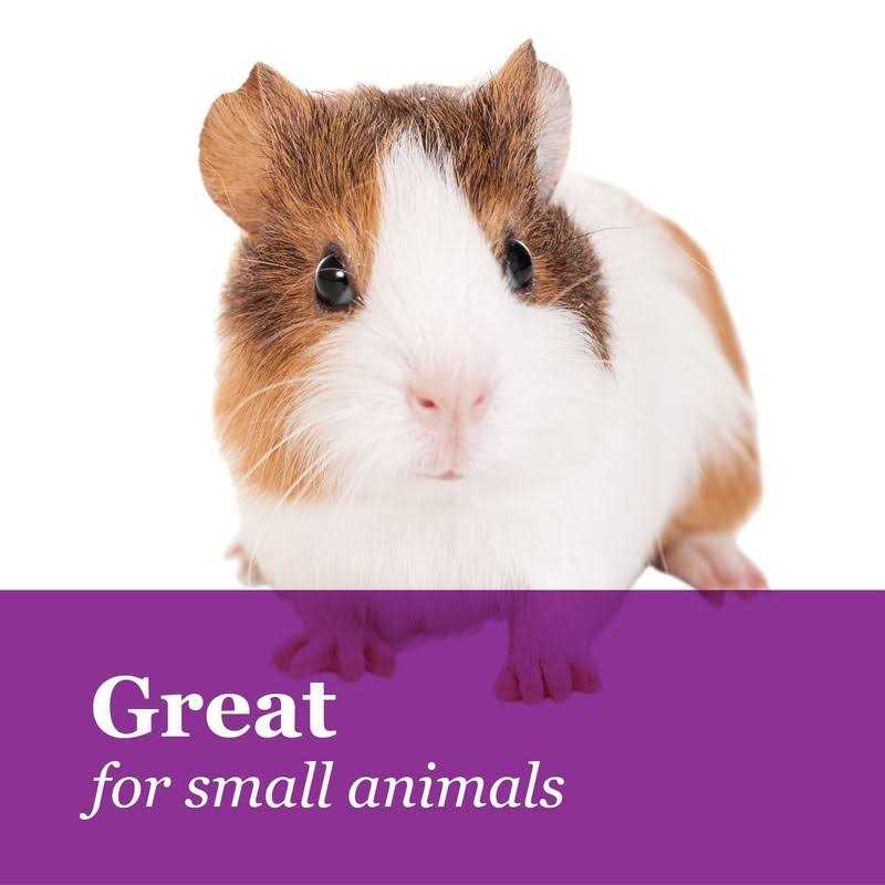 Fruit & Nut Small Animal Treats C2990