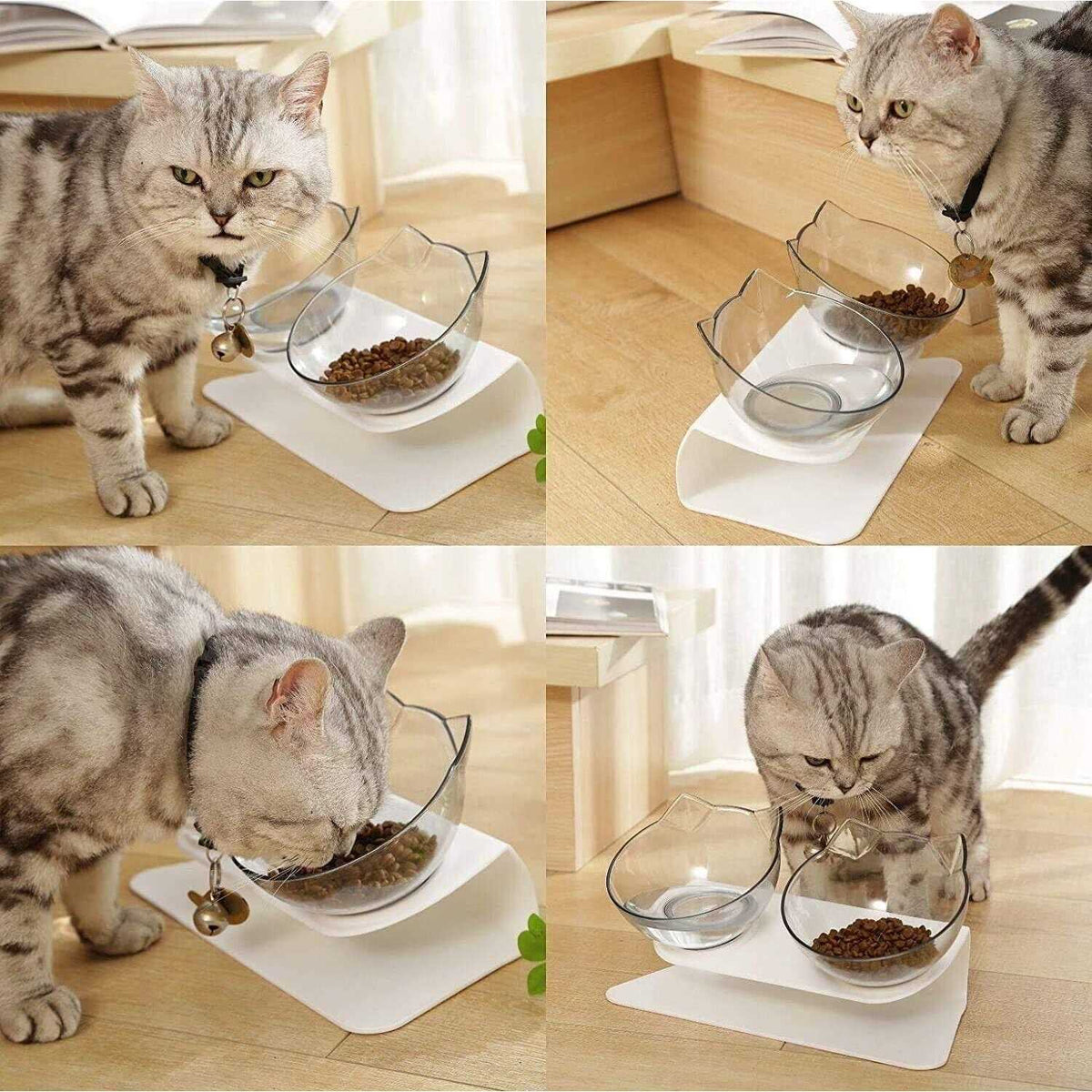 15 Tilted Elevated Cat Bowl with Stand O61694