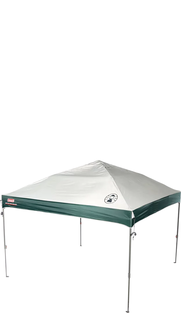 10 x 10 Tan Black Canopy Shelter G6817