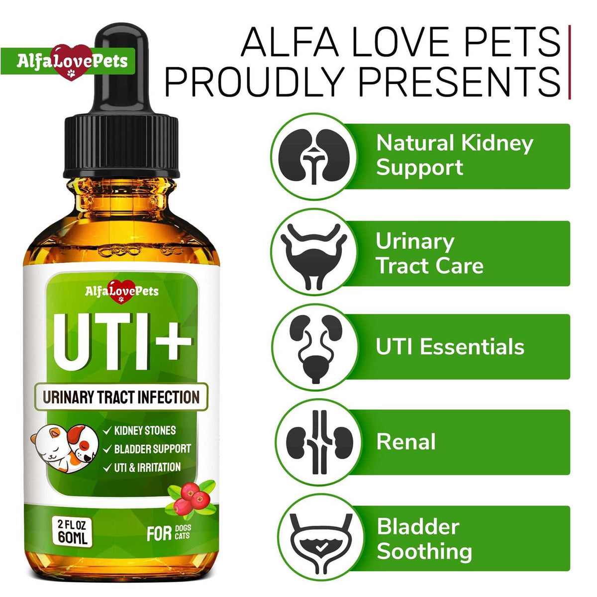 Natural Kidney Support for Dog Uti Cat Uti Canine Urinary Tract Care Wcranberry N145757