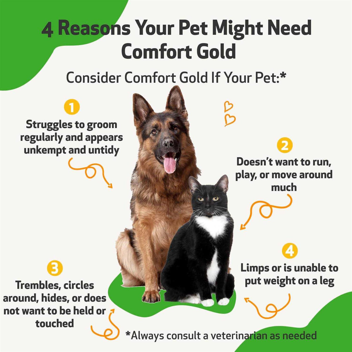 Comfort Gold for Cats G9322