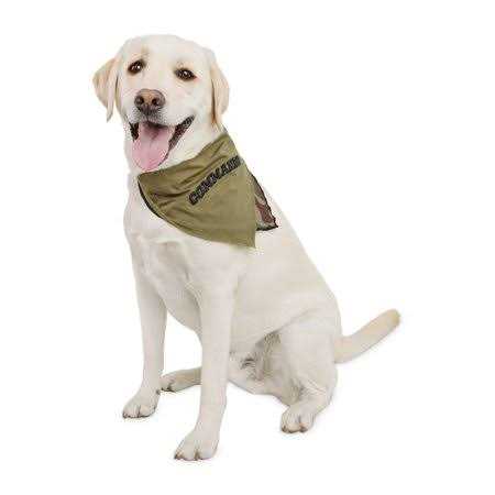 Small Animal Litter Pan Z9857