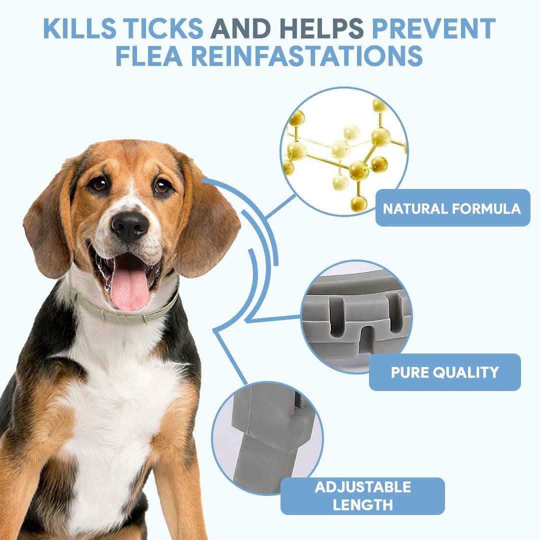 Flea & Tick Repellent Dog Collar K4241