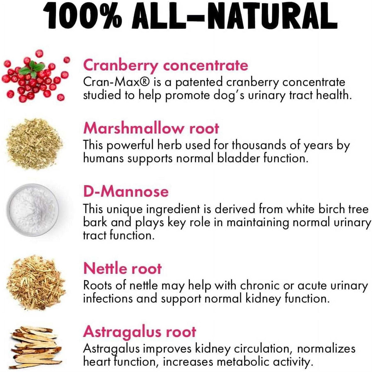 Cranberry UTI Chews for Dogs H5888