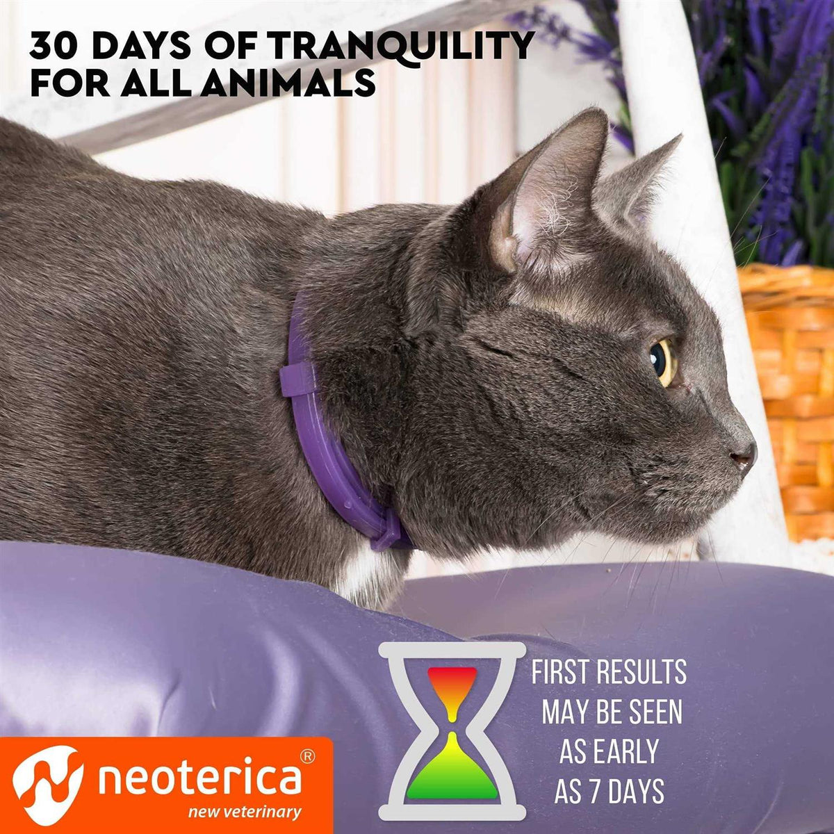 Cat Calming Collar Z483