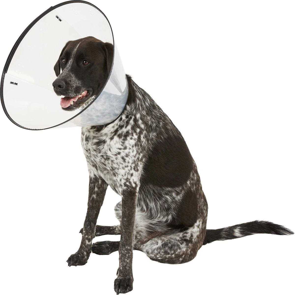 Large E-Collar Y506