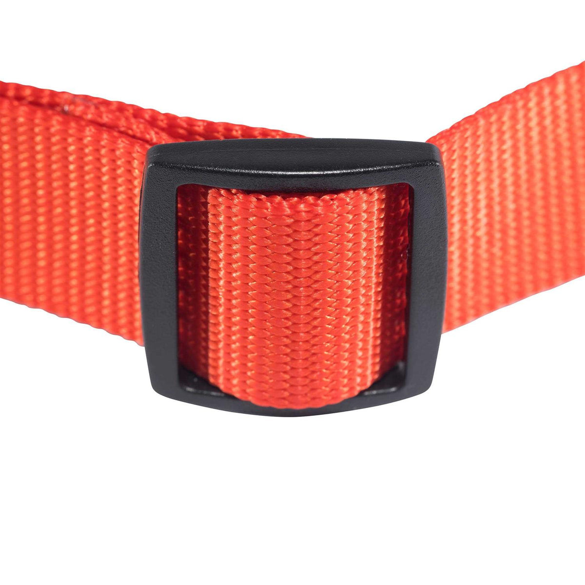 Bandana Dog Collar W63886