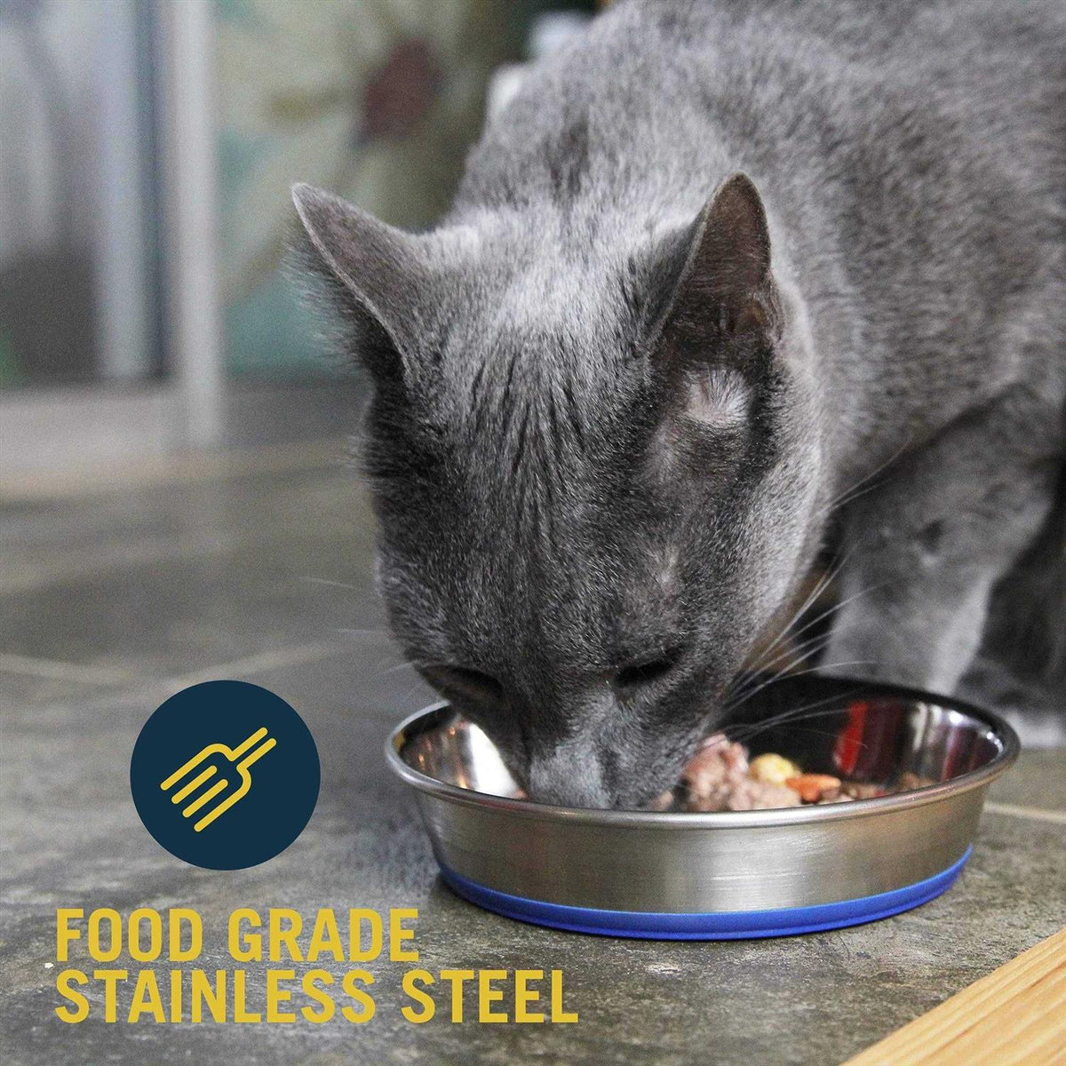 Stainless Steel Cat Dish R63282