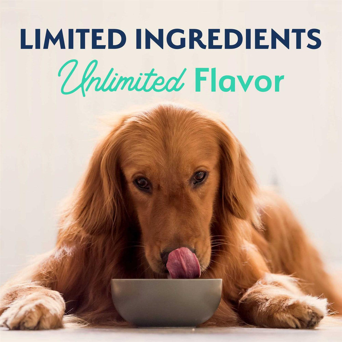 Chicken & Sweet Potato Dog Food M7795