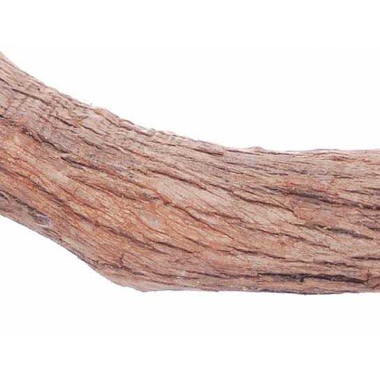 Hardwood Bird Perch X718192