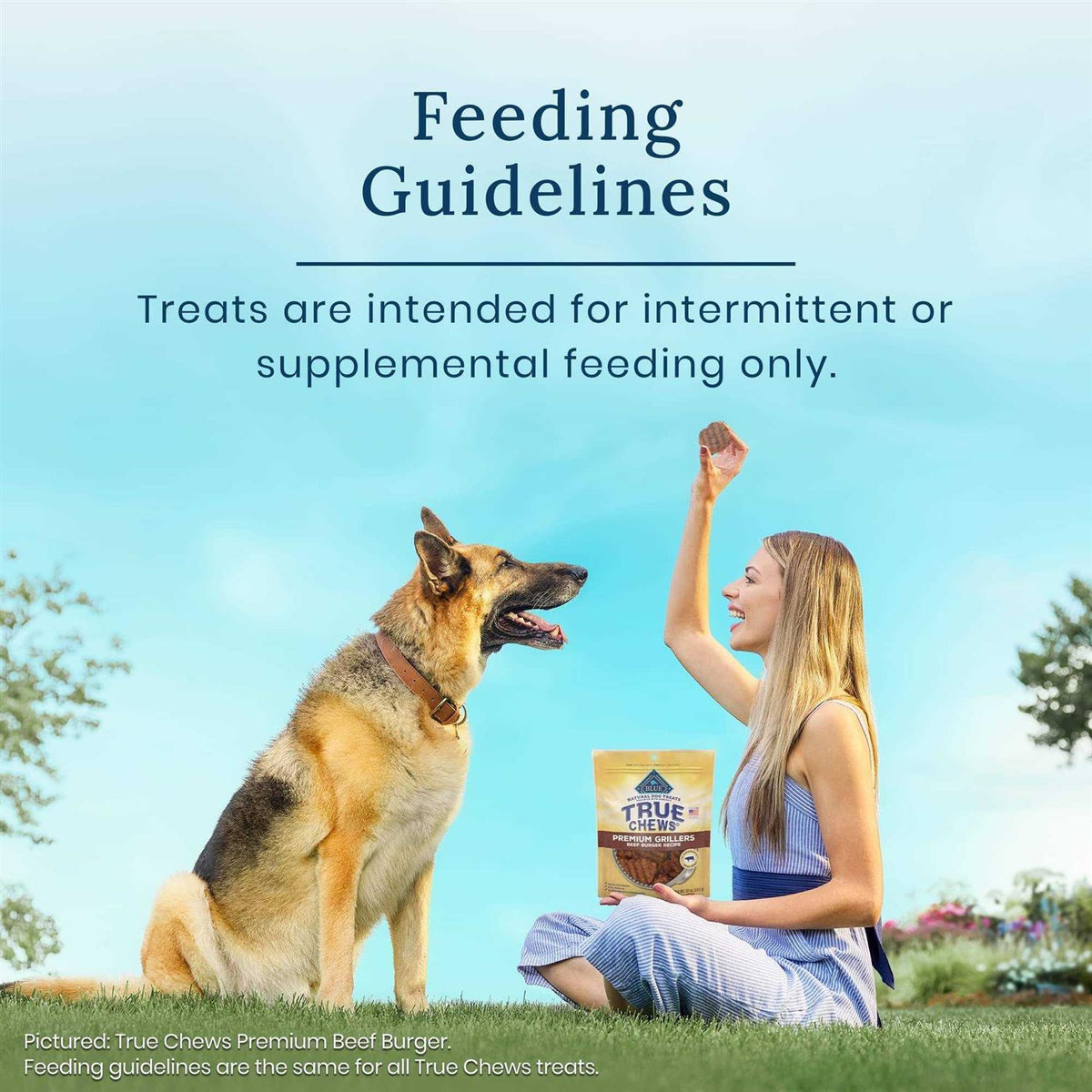 Dog Treats W470