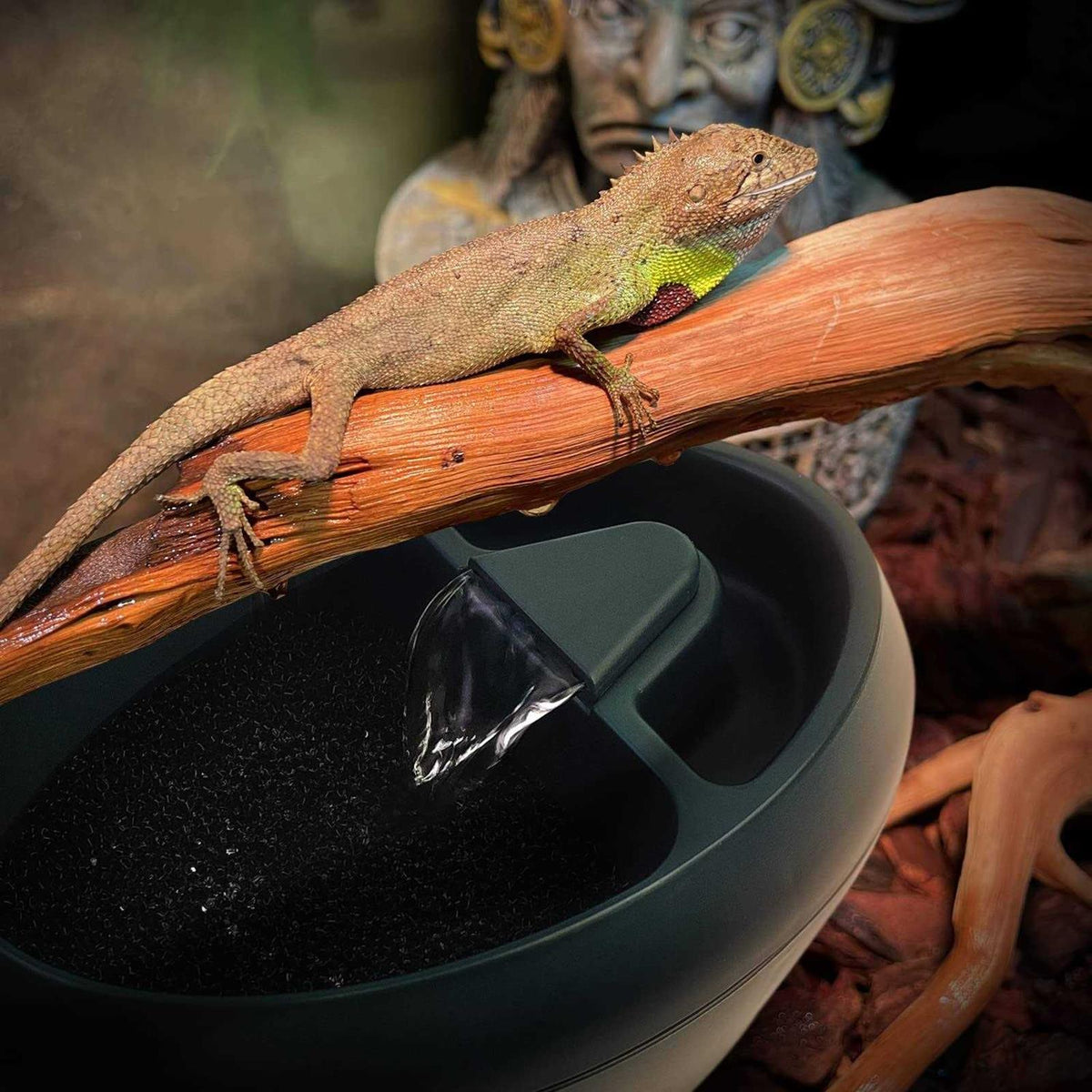 Reptile Drinking Water Fountain with Trough G6313