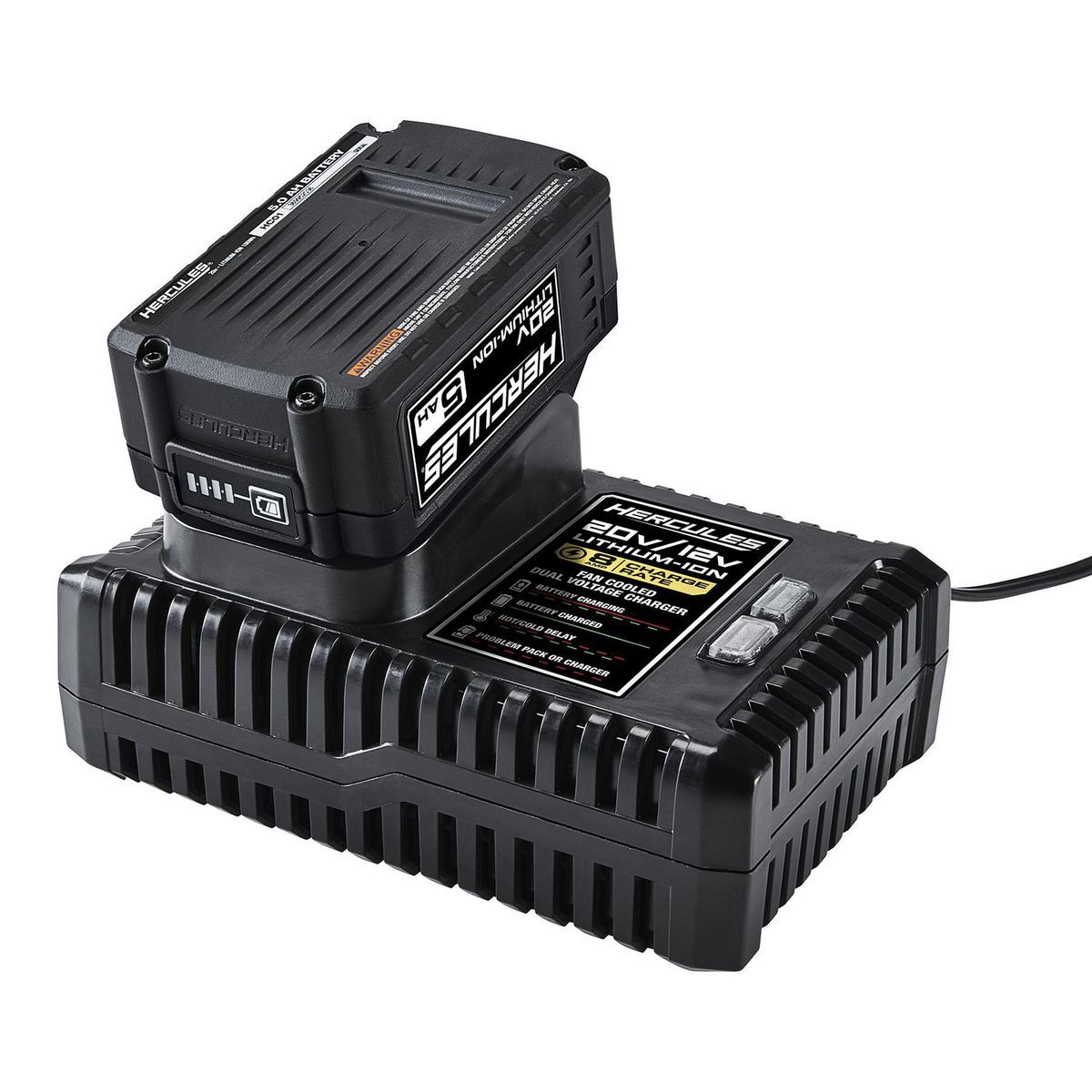 20/12V Dual-Voltage Lithium-Ion Battery Charger T304