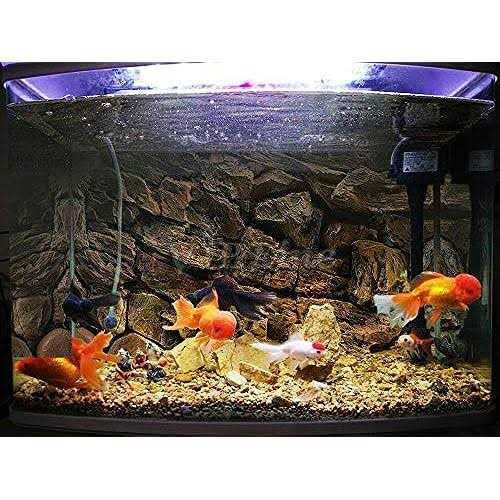 Rock Wall Aquarium Background Poster Fish Tank Decor L53883