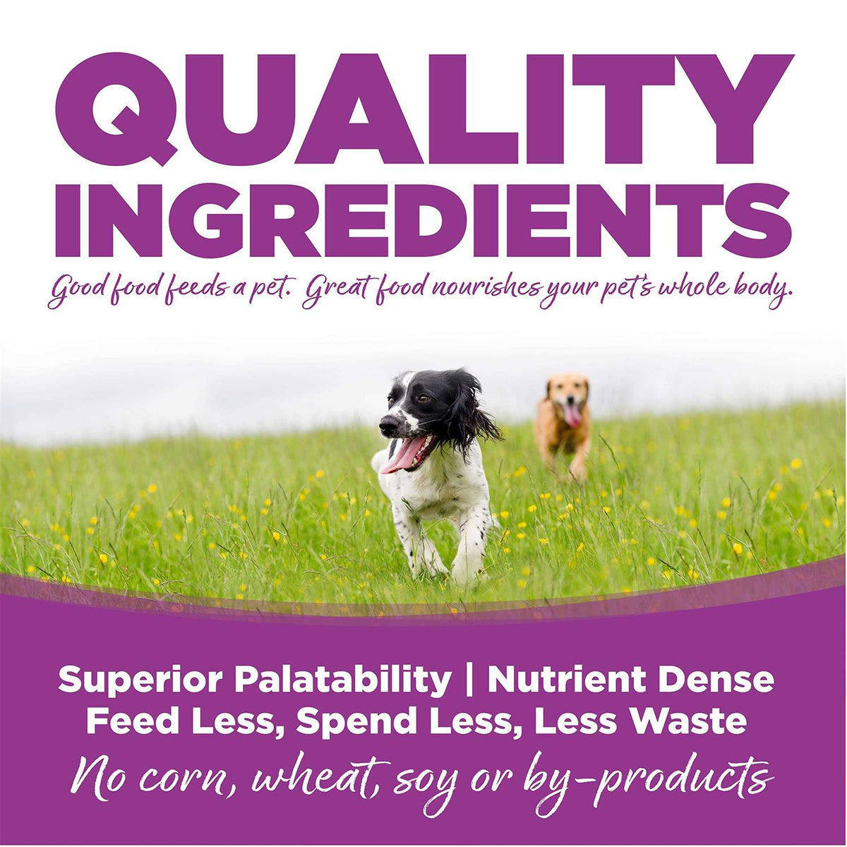 Chicken Rice Large-Breed Puppy Dry Dog Food H7694