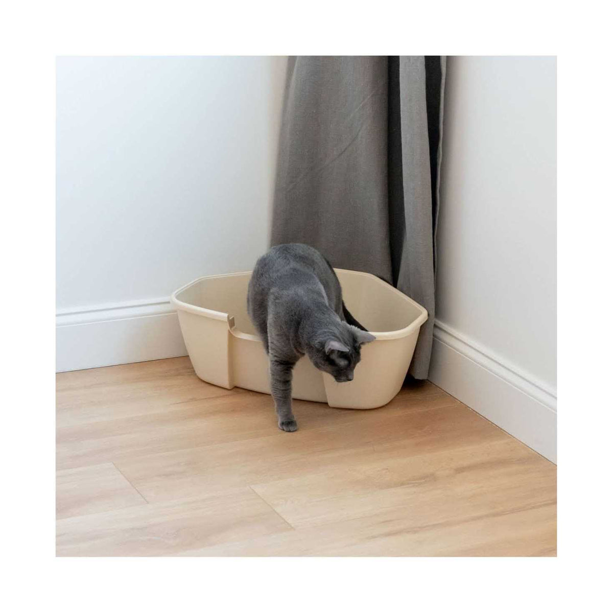 Litter Box with Scoop J258759