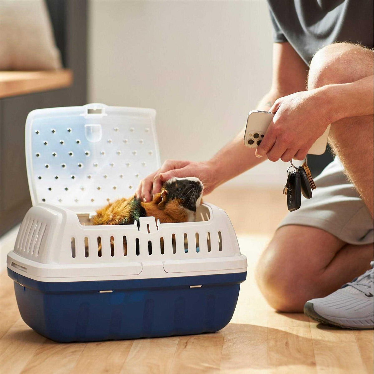 Top Entry Small Pet Carrier E738