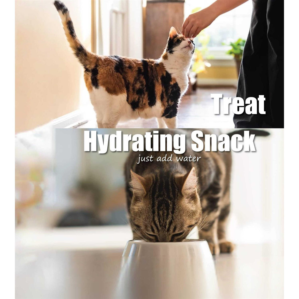 Salmon Cat Treats E357