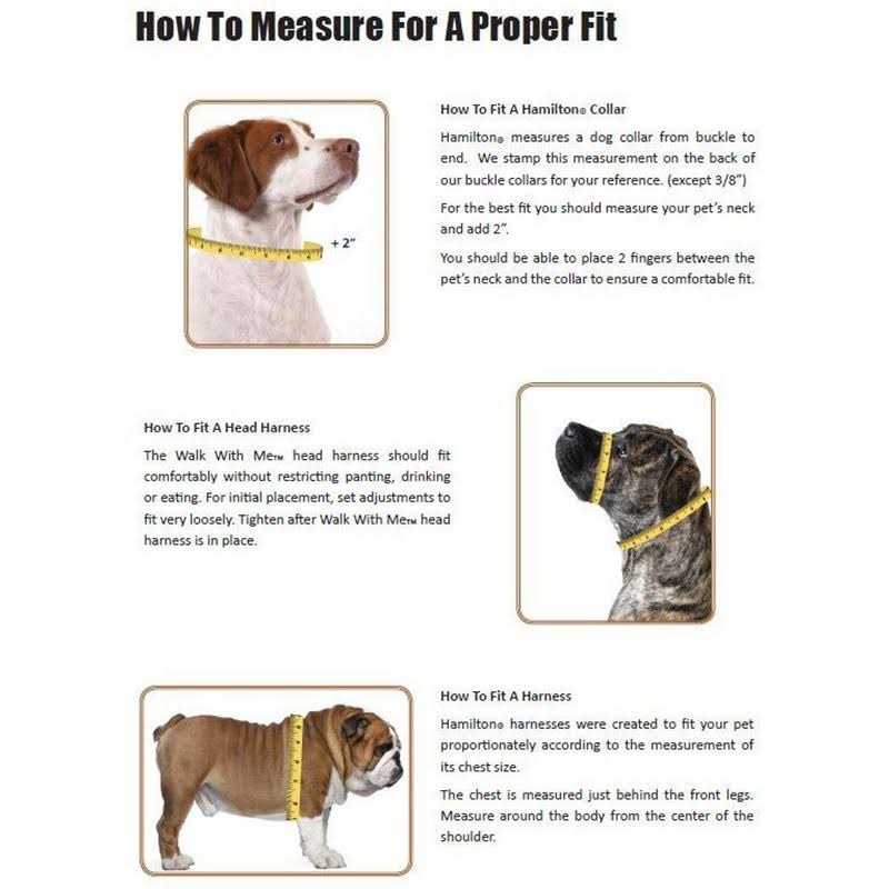 Adjustable Dog Collar J5216