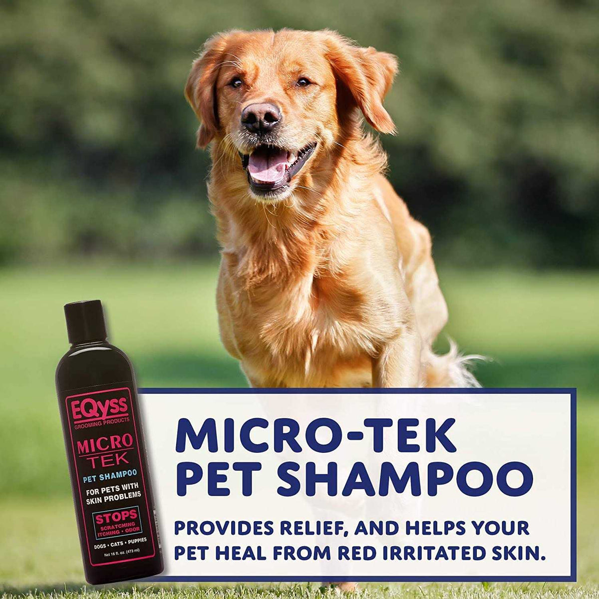 Pet Shampoo Y231016