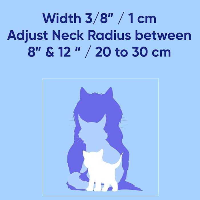 Cat Collar with Safety Buckle and Removable Bell R626811