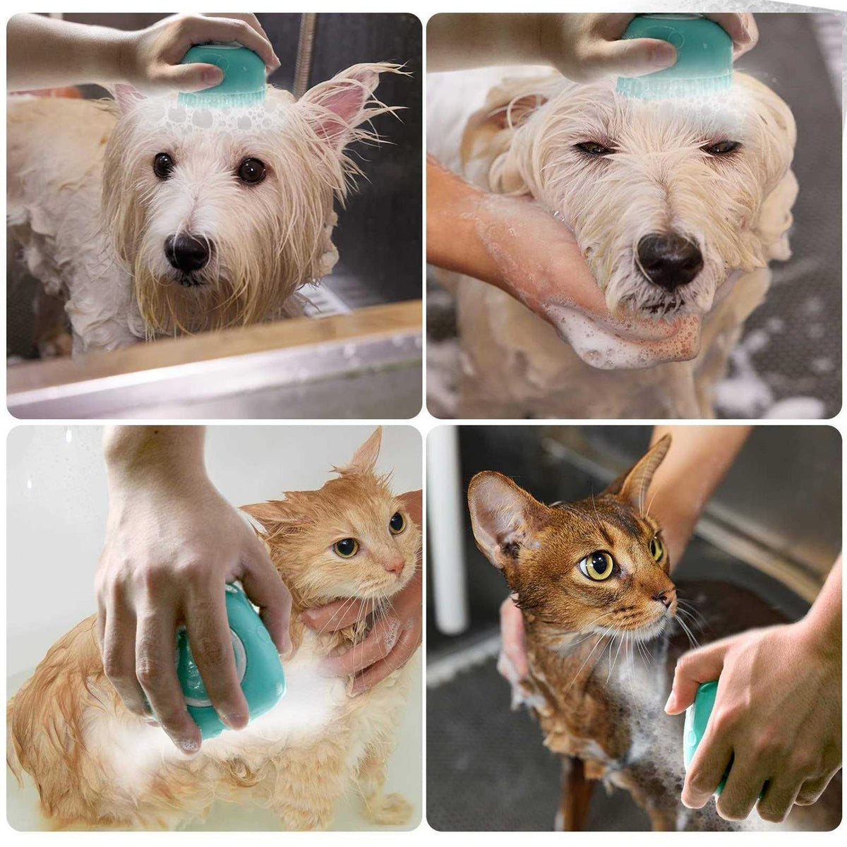 Dog Bath Brush with Shampoo Dispenser W800